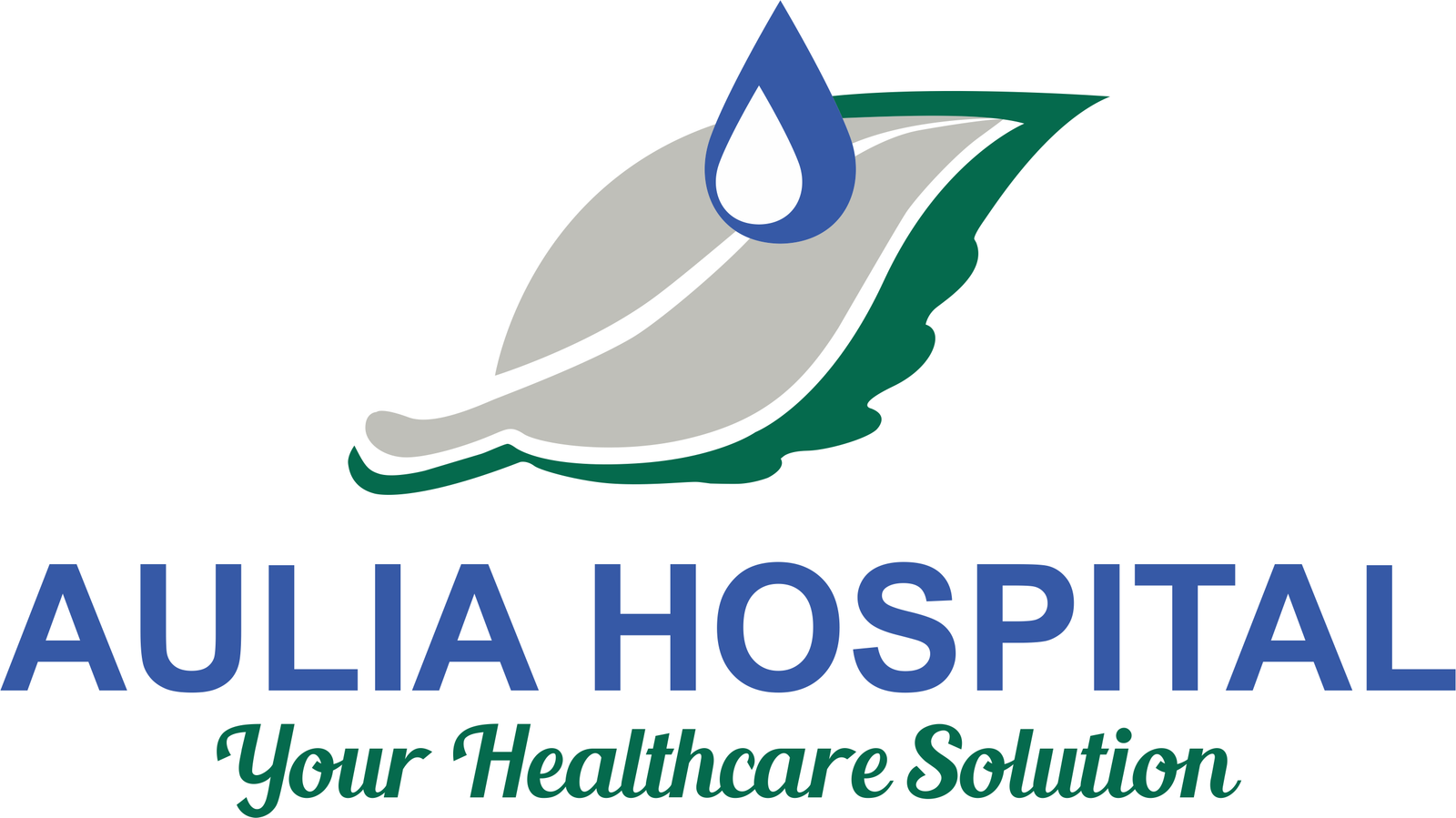AULIA HOSPITAL